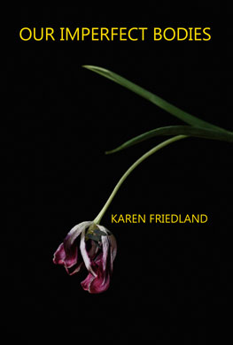 Our Imperfect Bodies by Karen Friedland